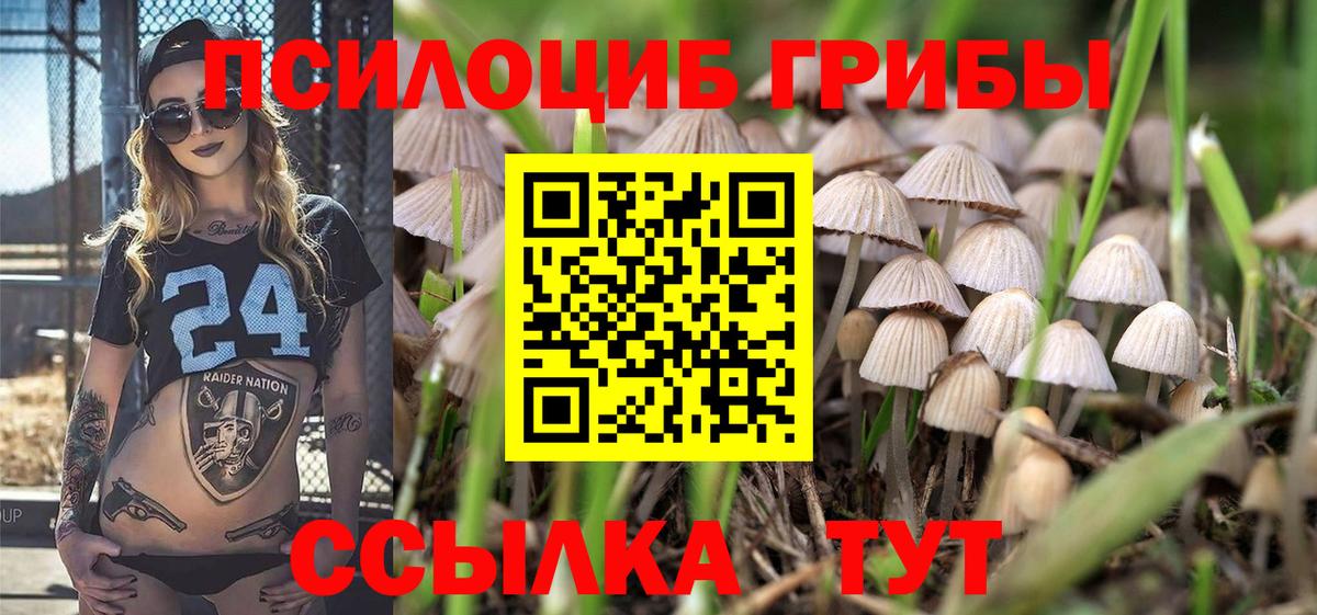 Баксан  Псилоцибиновые грибы GOLDEN TEACHER  Вход с VPN 