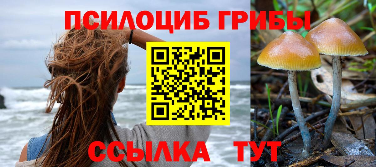Псилоцибиновые грибы Psilocybine cubensis  купить наркоту  Баксан 